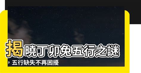 丁卯兔五行|屬兔的五行 屬兔五行財運